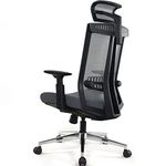 Realm of Thrones COMMODORE Ergonomic Mesh Office Chair with Adjustable Armrest, Headrest and 3D Lumbar Back Support, High Back Heavy Duty Home Office Swivel Computer Desk Chair (Grey)