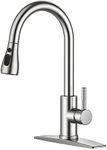 FORIOUS Kitchen Faucets, Brushed Ni