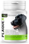 Plaque X Plaque Off & Tartar Remover For Dogs & Cats | Turmeric Formulation | Bad Breath Freshener | Helps Support Gum & Teeth Health | 60G - From The No 1 UK Pet Grooming Brand - 100% Natural