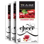 TE-A-ME Cranberry Apple Tea 25 Tea Bags (Pack of 3) | Caffeine Free | Fruit Tea | Total 75 Tea Bags