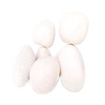 Power Stone Decorative Coloured Large Size Marble Stone Pebbles for Vase Filler Plant Pots Home Aquarium Fish Tanks Landscape Outdoor Garden Decoration (White, 10Kg)