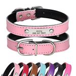 Didog Adjustable Leather Padded Custom Dog Collar with Engraved Nameplate,Fit Cats and Small Medium Dogs,Pink,XS Size