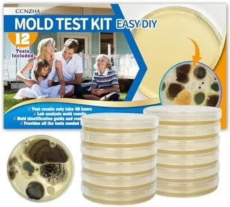 Mold Test 