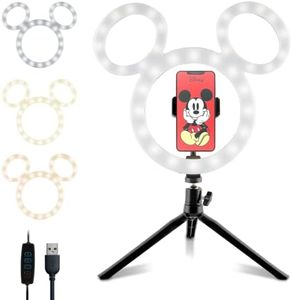 Disney Mic