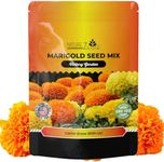 NatureZ Edge, Marigold Seeds, Marig