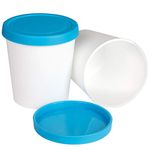 2 Packs Ice Cream Containers, 1 Quart Each BPA Free Freezer Containers Reusable Ice Cream Storage Tubs with Lids for Homemade IceCream Frozen Yogurt Sorbet BLUE