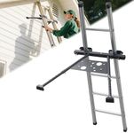 Ladder Stabilizer