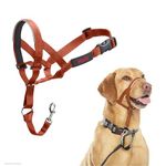 HALTI Headcollar - To Stop Your Dog Pulling on the Lead. Adjustable, Reflective and Lightweight, with Padded Nose Band. Dog Training Anti-Pull Collar for Medium Dogs (Size 3, Burnt Orange)