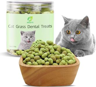 Avocatto Cat Grass Dental Crunchy Treats, Natural Tasty Dental Care Snacks for Cats, Healthy Teeth Cleaning & Freshen Breath