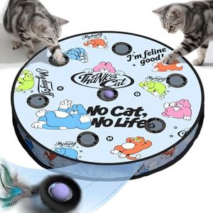 Interactive Cat Toy with Motion Activated Ball & 7 Holes Maze Mat, Hide and Seek Exercise Game for Indoor Cats, Automatic Moving Cat Ball Toy in Pouch, Rechargeable Kitten Toys, Mouse Catching Game