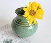 Handmade Dandelion Flower Pot for N