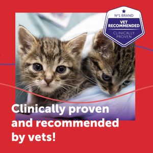 FELIWAY Friends Cat Calming Refill 48ml – Stress Relief for Cats