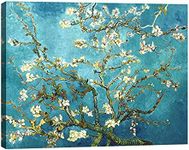 Pyradecor Modern Almond Blossom Fam