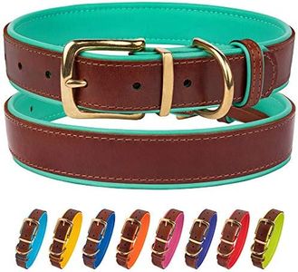 CollarDirect Leather Dog Collar Brass Buckle Soft Padded Puppy Small Medium Large Red Pink Blue Green Purple Yellow (Neck Fit 12"-14", Mint Green)