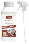 Mold Remover For Wood