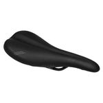 WTB, Silverado 265, Saddle, Steel, 265 x 142mm, Unisex, Black