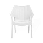 Oaknest Unboxing Furniture Supreme Cambridge Heavy Plastic Chair | Oversized Arm Chair for Garden and Outdoor | 250Kg Weight Bearing Capacity | 6 Months Warranty (Milky White) |1 Chairs