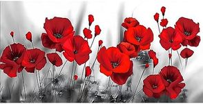 MXJSUA Red Poppies Flower Diamond Painting Kits, DIY Diamond Art Kits for Adults Beginner, 5D Gem Art Painting Kit with Round Diamonds Picture Crafts for Wall Decor Gifts(40x80cm)