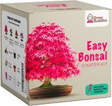 Bonsai Starter Kits