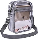 Clear Messenger Bag for Work & Busi