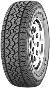 GT Radial 