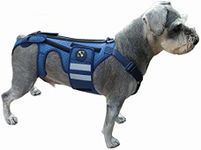 COODEO Dog Back Brace for Dogs Arthritis, Pet Back Bracer for IVDD, Back Protector Helps Pain Relief, Surgical Recovery and Rehabilitation, Dogs Back Disease Prevention. (Medium)