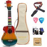 Balnna Concert Ukulele (23 inch) Classic and Professional Hawaiian Guitar Rainbow Ukulele with Aquila Color Strings & Gig Bag, Maple Wooden Ukuleles for Beginners