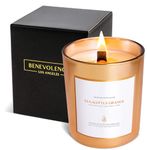 Benevolence LA Eucalyptus & Orange Wood Wick Fall Candle for Home - Scented Soy Candles | Aromatherapy Gold Candle, Gifts for Men and Women, Jar Candle Small - 6 oz