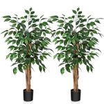 SOGUYI 3ft Ficus Artificial Trees with Realistic Leaves and Natural Trunk, Silk Fake Ficus Tree with Plastic Nursery Pot, Faux Ficus Tree for Office Home Farmhouse for Indoor Outdoor Decor(Set of 2)