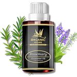 Organic Nilgiris Rosemary Essential Oil for Hair and Skin Care – 100% Natural and Pure, Cold Pressed: Pure for Women’s Hair Growth, Nourishment, Scalp Health, Skin Care, and Hair Fall Control-15ml