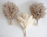 30 PCS Boho Decor, Fluffy Pompas Gr