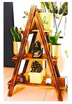 Wayfair Ladder Shelf