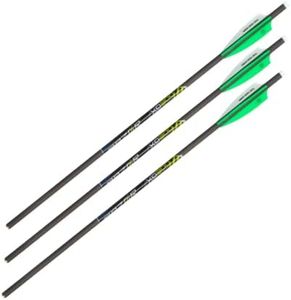 Allen Company Razor XD300 Archery Crossbow Bolt, 20-Inch by Allen Company, 3 Pack, Gray, One Size