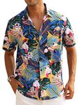 EISHOPEER Tropical Floral Hawaiian Shirt for Men Button Shirts Gift for Him in Summer Blue & Bird Print Medium