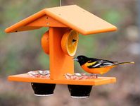 Amish-Made Oriole Bird Feeder, Double-Cup Jelly Oriole Feeder with Pegs for Orange Halves (Orange)