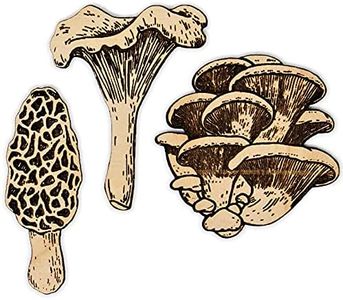 Mushroom 3