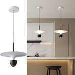 Jiinoo Pendant Lights Kitchen Island, 12W Modern LED Chandelier Lighting, Bedroom Light Fixture, Adjustable Hanging Pendant Lighting for Dining Room Living Room Hallway Foyer Aisle (Warm Light)