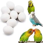 FOIBURELY 8 Pcs Solid Parrot Plastic Eggs Hatching Eggs Lovebird, Bourkes, Lineoleated, Eng Budgie. Trick The Birds to Stop Laying Eggs, Fake Eggs（22mm18mm）