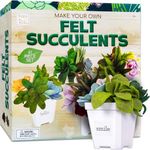 Hapinest DIY Potted Felt Succulents Craft Kit for Adults Women Teens, Arts & Crafts for Kids Fun Activities Project Ideas Hobbies for Women at Home, DIY Crafts for Adults Girls Ages 6-12 Years & Up