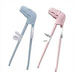 Dinosaur Training Chopsticks,2pcs C