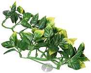 Exo Terra Jungle Plant - Amapallo - Small