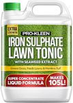 Pro-Kleen Lawn Tonic Liquid Iron Su