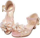 Ballet Shoes for Girls Flowers Acce