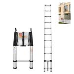 16.5FT 5M Telescopic Ladder with Detachable Hooks Folding Aluminum Extension Ladder Loft Ladder Multi-Purpose Collapsible Ladders for Home Outdoor Household,Max Load 150kg/330lb