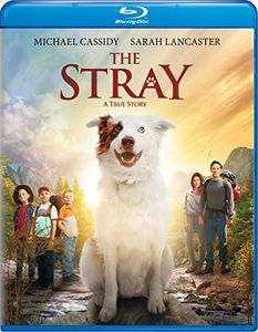 The Stray [Blu-ray]