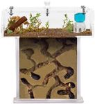 Anthouse.ES - Acrylic Ant Farm Kit Foam in T Mini Shape - Sandwich 14x5x14 cm and Foraging Box - Ant Farm - Transparent