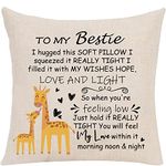 CafePress Friend Gifts Pillows