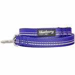 Blueberry Pet 3M Reflective Pastel Color Dog Leash with Soft & Comfortable Handle, 4 ft x 1", Violet, Large, Leashes for Dogs