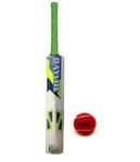 Wooden Cricket Bat with Free Ball, Kids Size 5, for 10-14 Years Boys