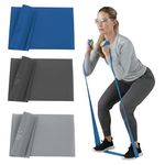 TheraBand Resistance Bands Set, Professional Non-Latex Elastic Band For Upper & Lower Body Exercise, Strength Training without Weights, Physical Therapy, & Pilates, Silver & Blue & Black, Advanced